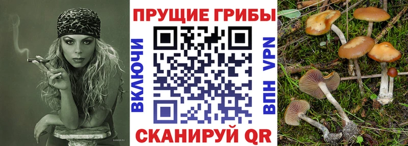 Галлюциногенные грибы мицелий  Волчанск 